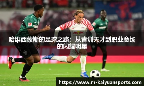 开元体育平台